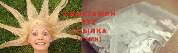 амф Надым