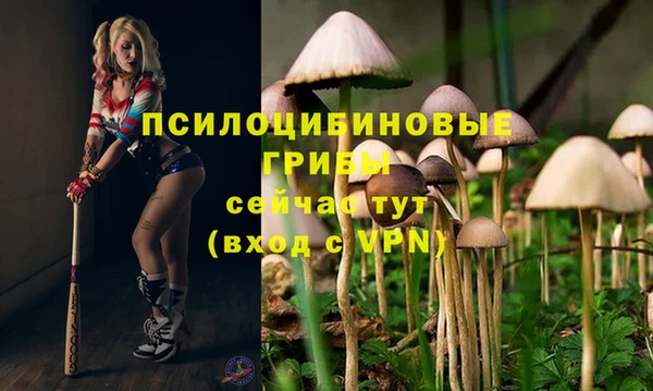 ешки Наволоки