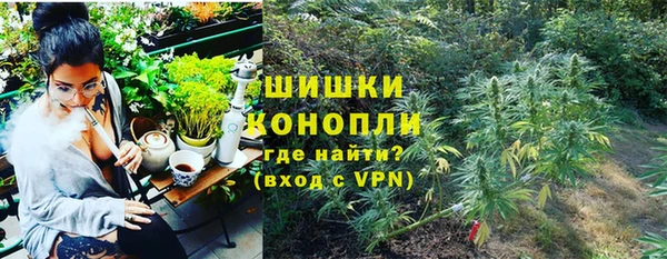 СК Тында