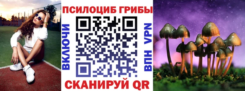 MEGA вход  Каменногорск  Псилоцибиновые грибы мицелий 