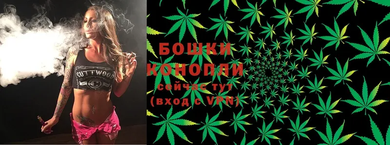 Бошки Шишки Ganja  Каменногорск 